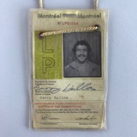 Accreditation for team officials